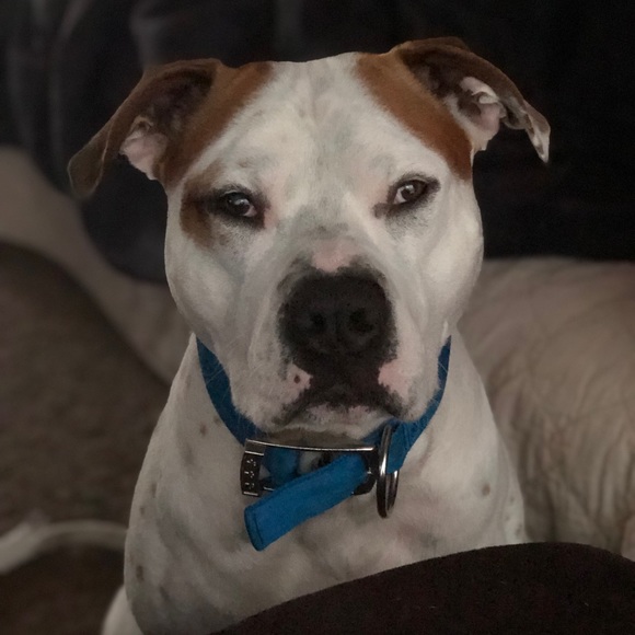 Meet your Posher, Michelle - Picture 4 of 8